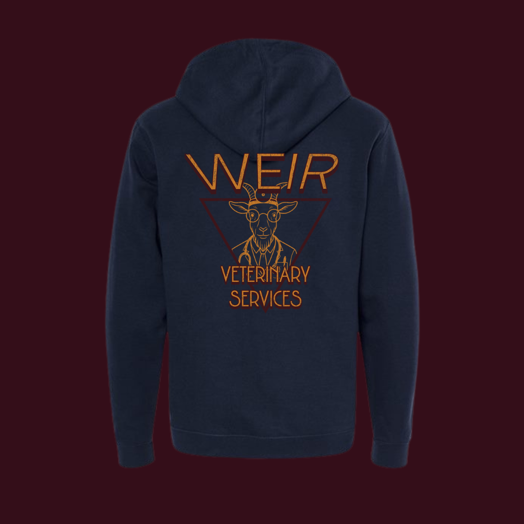 No Kid-ing, I’m a Doctor Hoodie