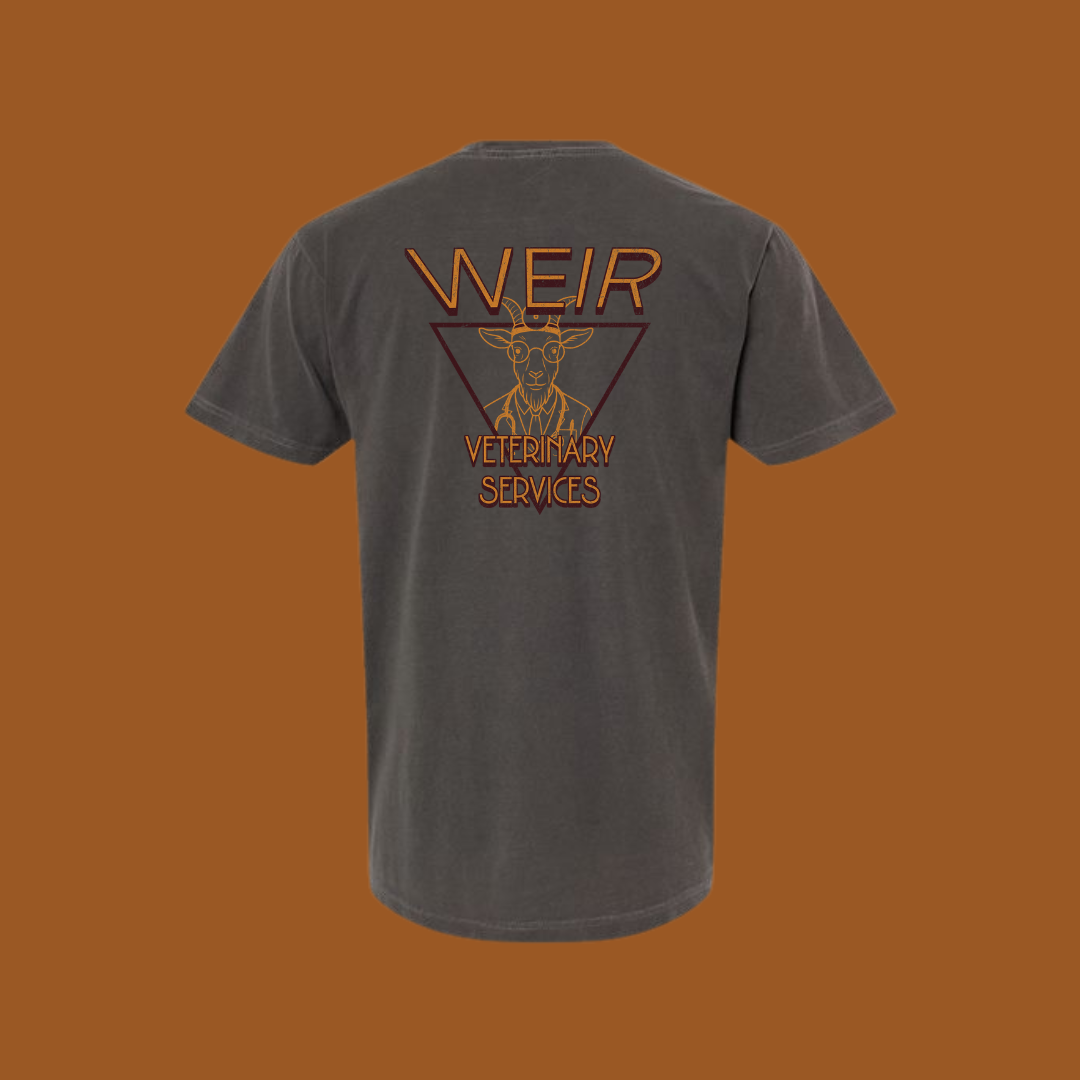 No Kid-ing, I’m a Doctor Tee