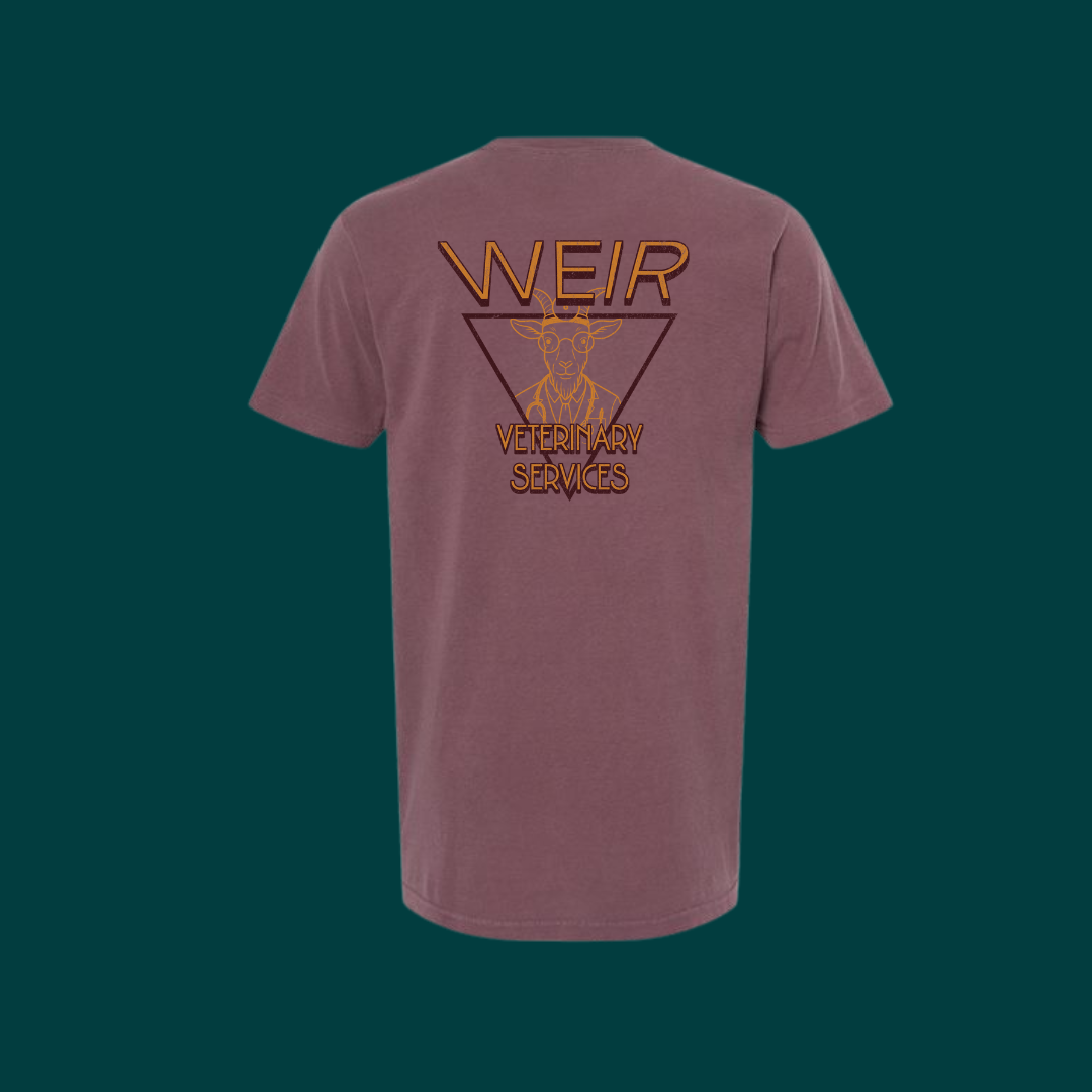 No Kid-ing, I’m a Doctor Tee