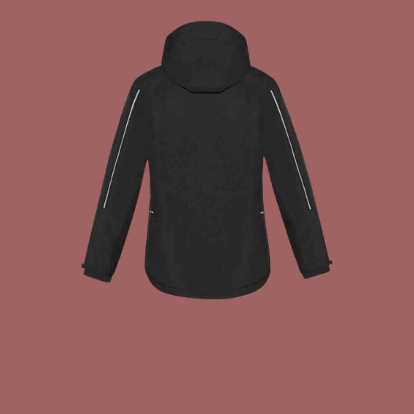 Weir Veterinary Women's Insulated Jacket